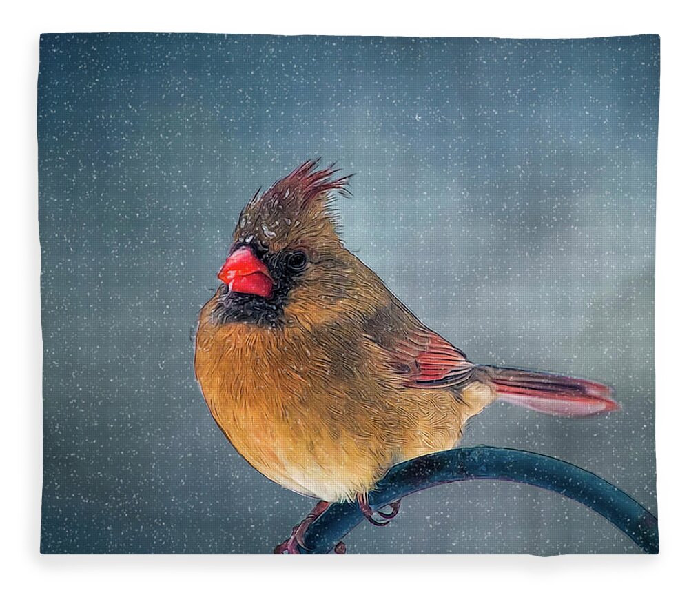 Bird Fleece Blanket featuring the photograph Winter Cardinal by Cathy Kovarik