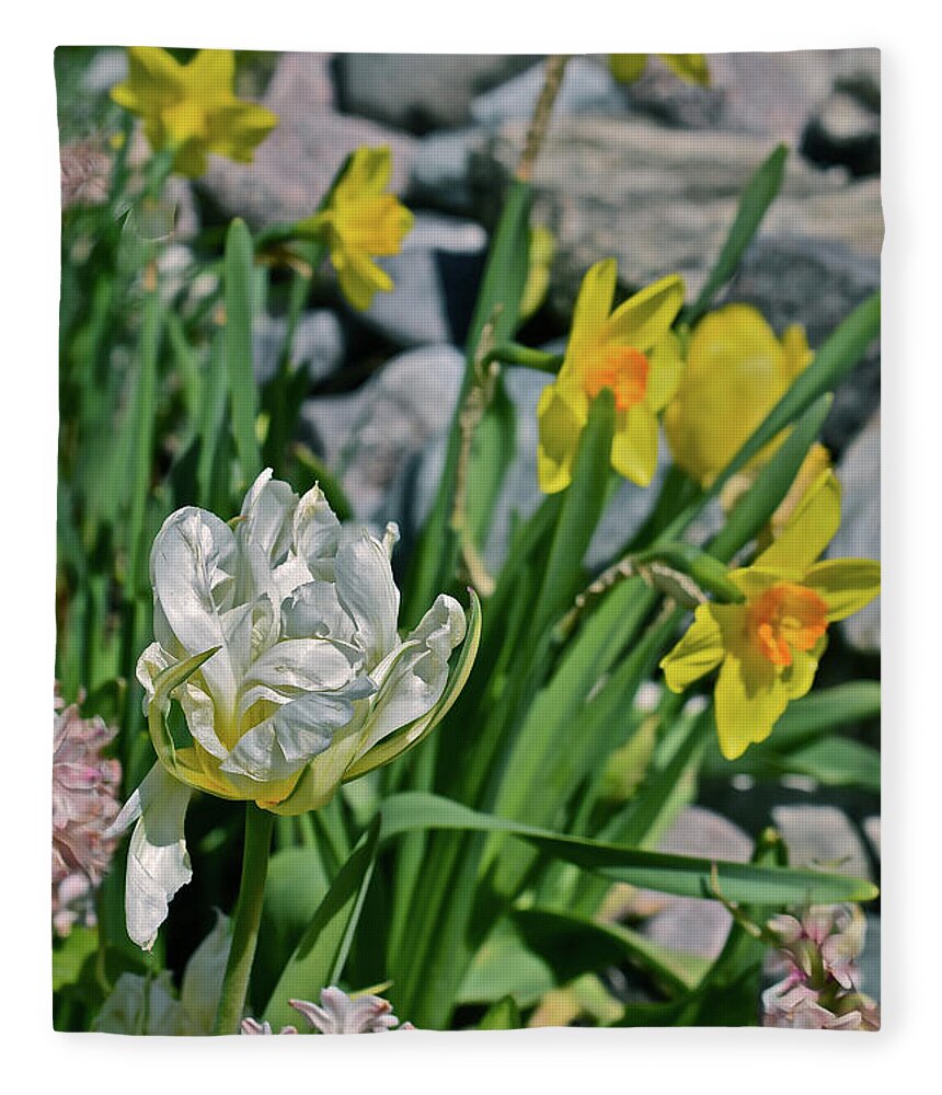 Tulips Fleece Blanket featuring the photograph 2020 Acewood Tulips, Hyacinth and Daffodils by Janis Senungetuk
