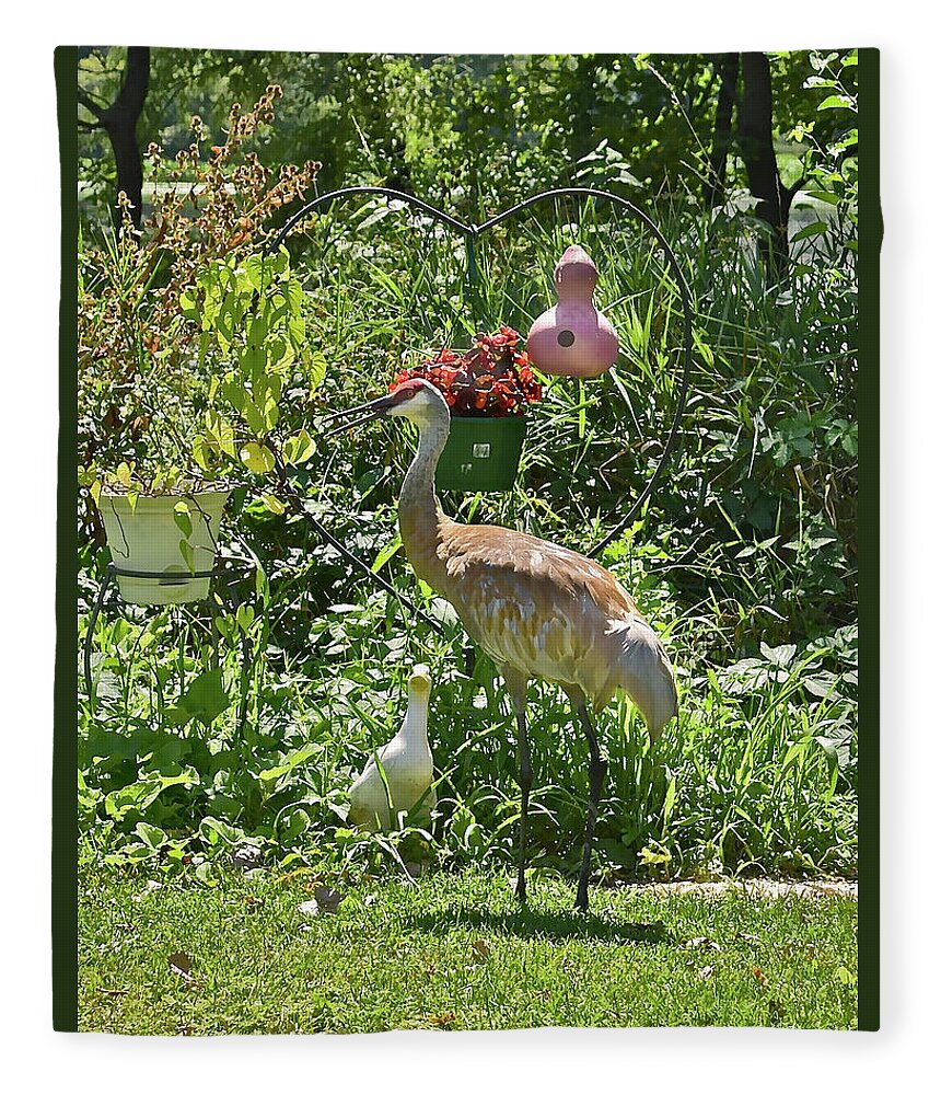 Sandhill Cranes Fleece Blanket featuring the photograph 2021 August Sandhill Crane by Janis Senungetuk