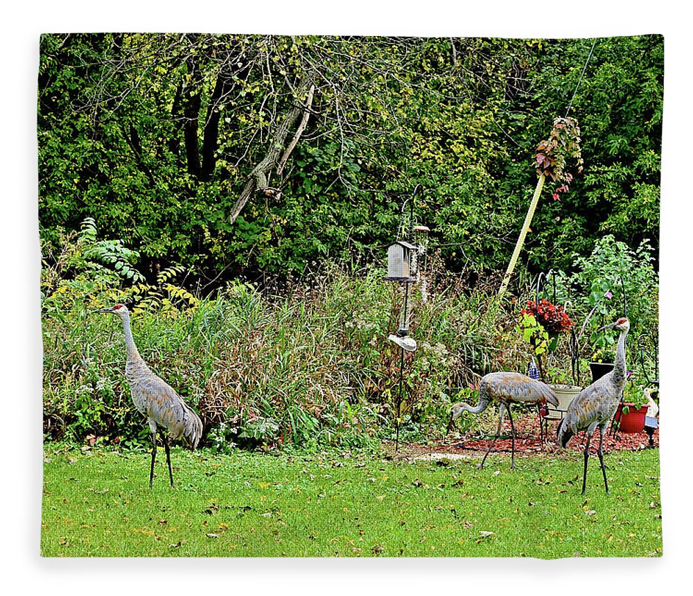 Sandhill Cranes; Backyard; Birds; Fleece Blanket featuring the photograph 2021 Fall Sandhill Cranes 2 by Janis Senungetuk