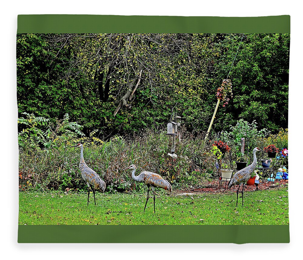Sandhill Cranes; Backyard; Birds; Fleece Blanket featuring the photograph 2021 Fall Sandhill Cranes 4 by Janis Senungetuk