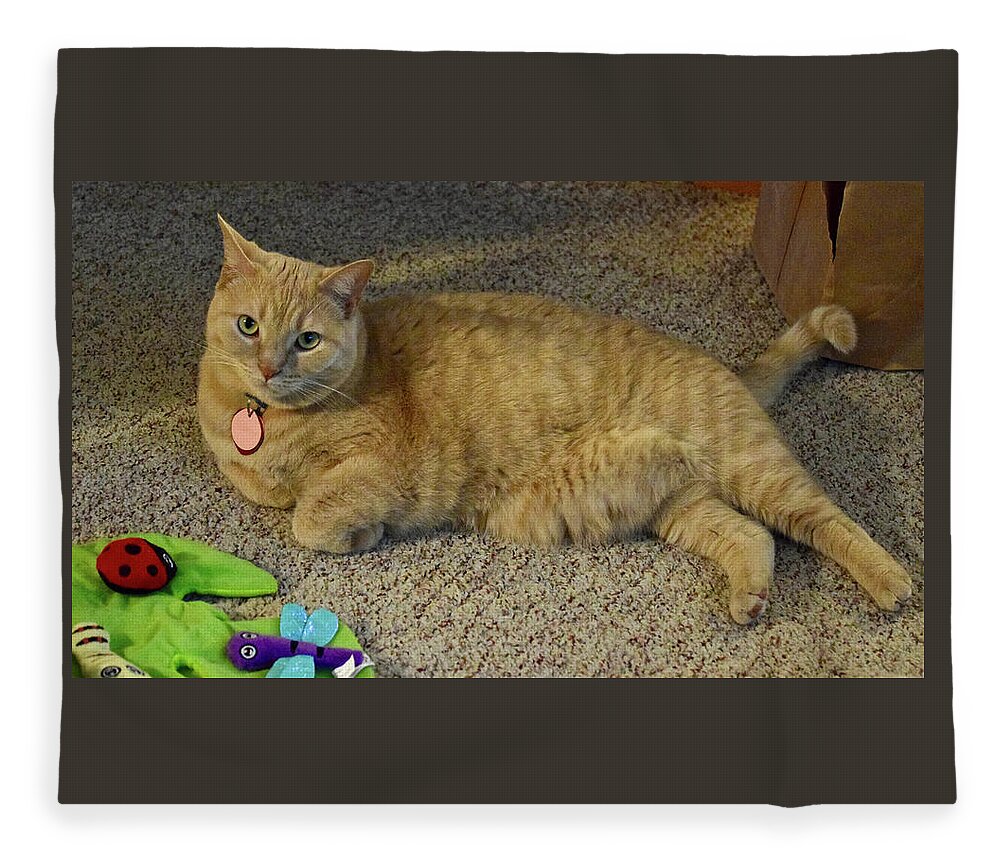 Tabby Cat; Cat; Cat Toy Fleece Blanket featuring the photograph 2022 Sunny Cat With New Toy by Janis Senungetuk