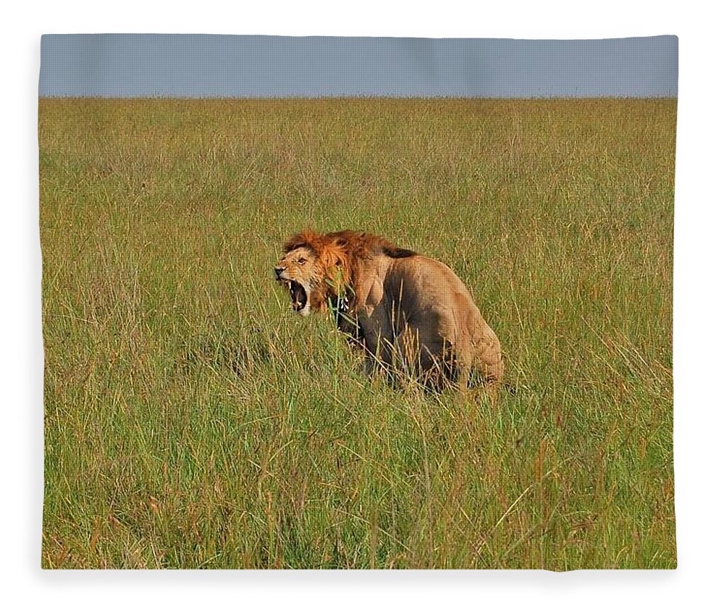  Fleece Blanket featuring the photograph 29k by Jay Handler
