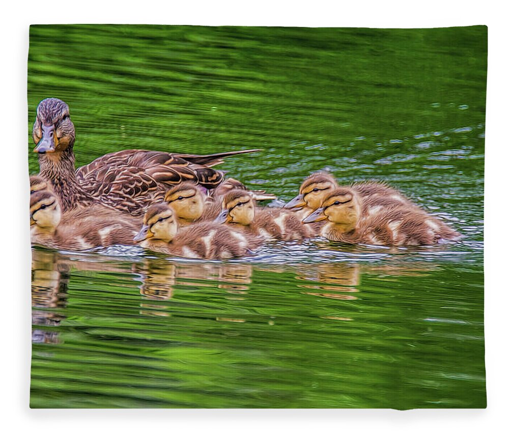 Ducklings Fleece Blanket featuring the photograph Family Outing by Cathy Kovarik