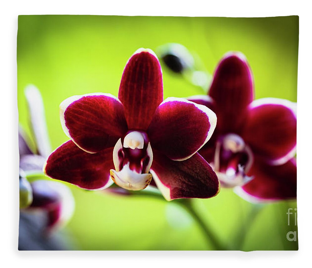 Background Fleece Blanket featuring the photograph Red Orchid Flower #3 by Raul Rodriguez
