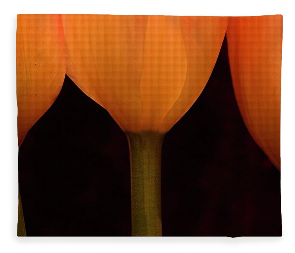 Macro Fleece Blanket featuring the photograph 3 Tulips by Julie Powell
