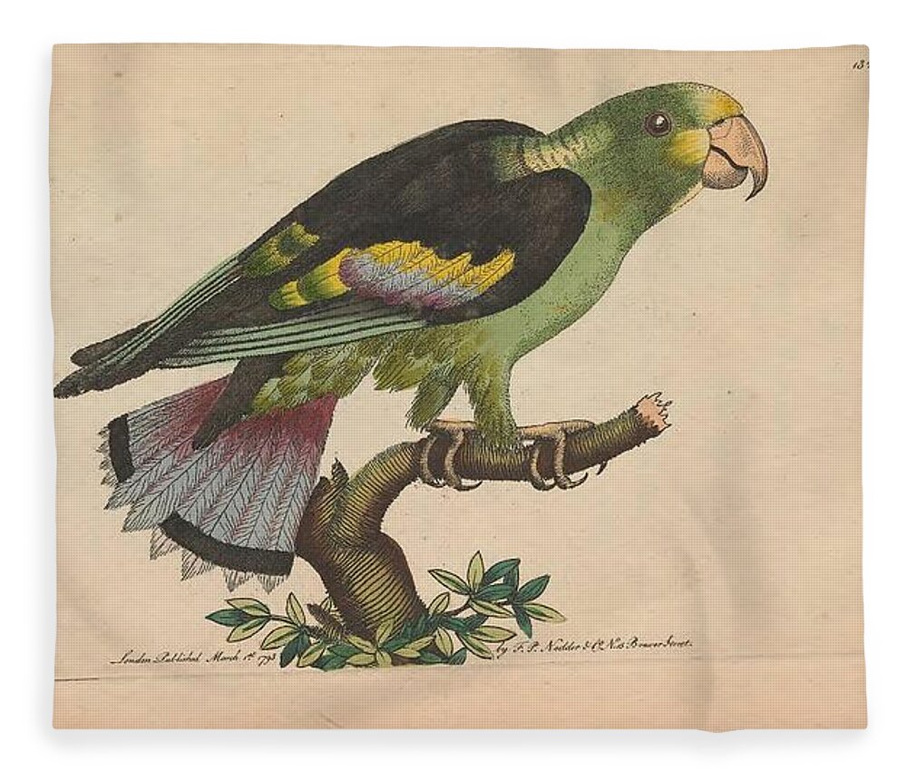 Parrot Fleece Blanket featuring the mixed media Beautiful antique parrot #31 by World Art Collective