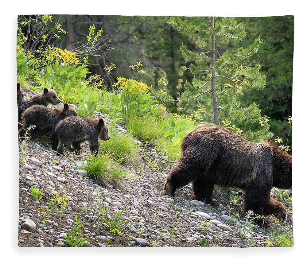 Bear Fleece Blanket featuring the photograph 4 Cubs with Mama Grizzly Bear #399 by Wesley Aston