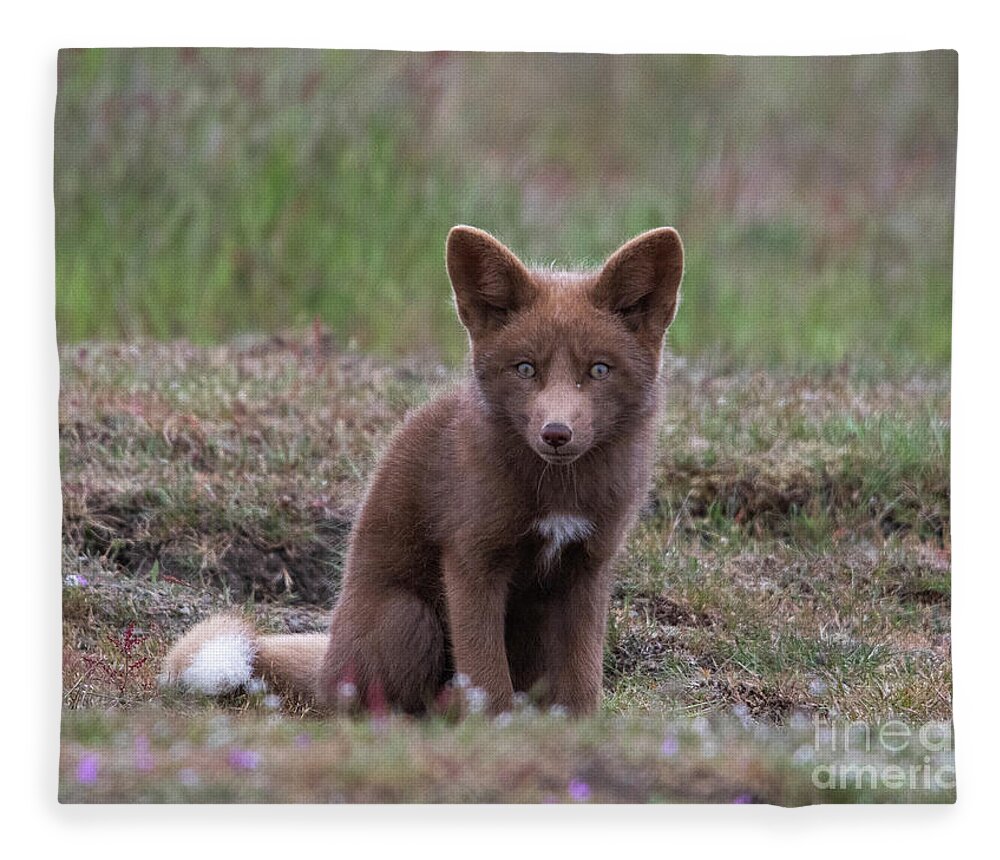 Fox Fleece Blanket featuring the photograph Fox Kit #4 by Patrick Nowotny