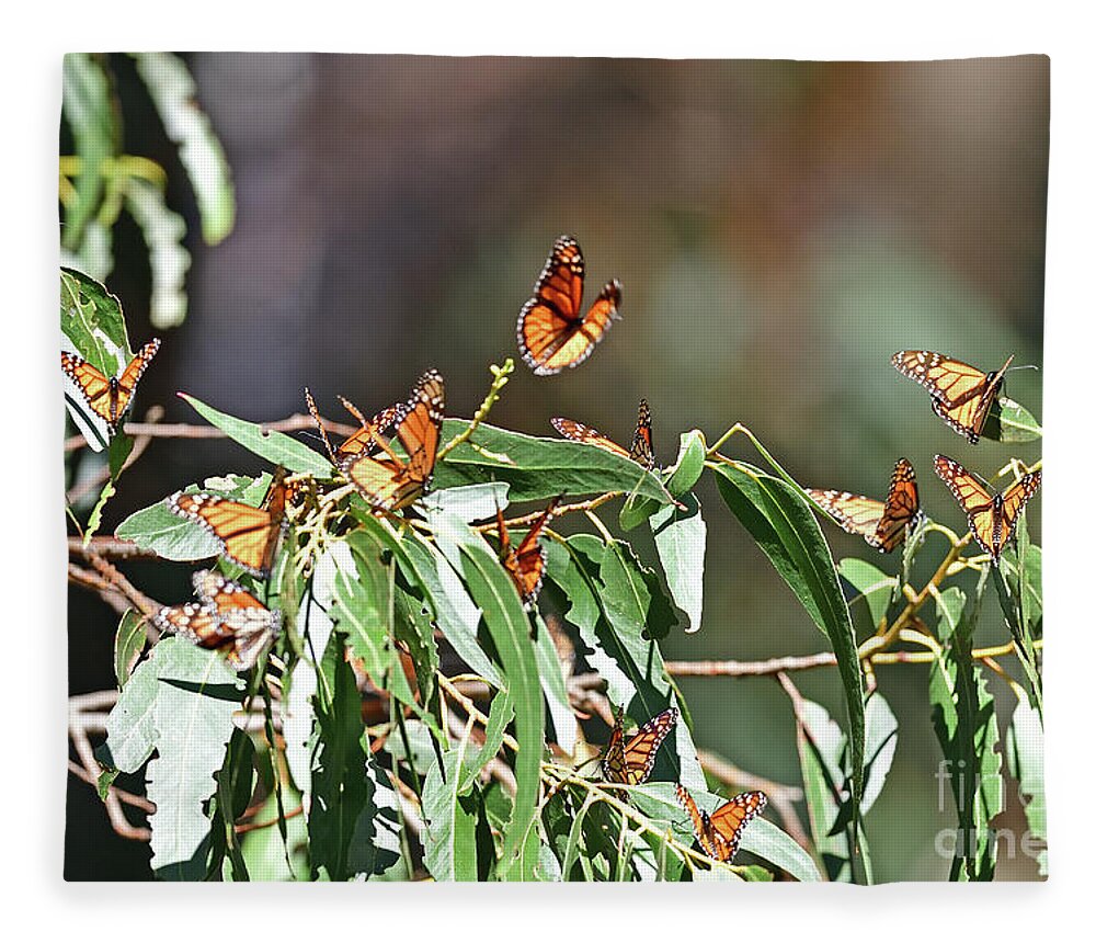 Monarch Fleece Blanket featuring the photograph Monarch Butterfly #4 by Amazing Action Photo Video