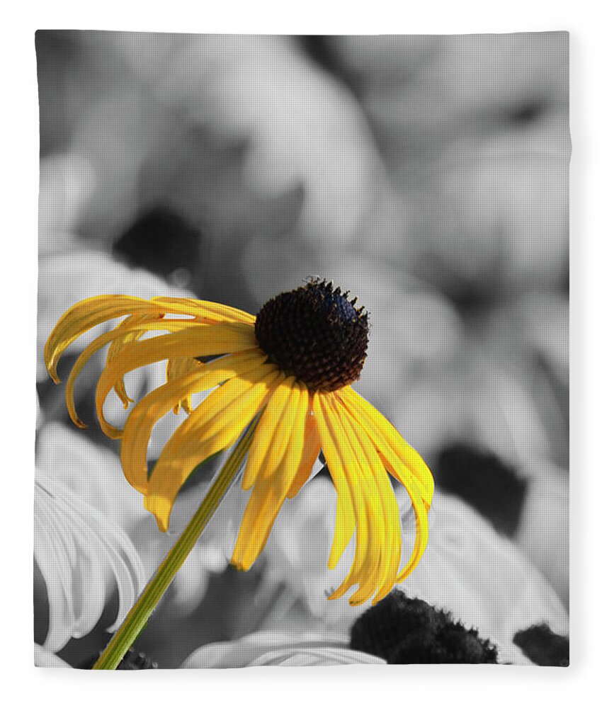 Wildflower Fleece Blanket featuring the photograph Stand Out #4 by Cathy Kovarik