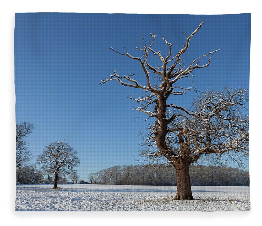 Winter Fleece Blanket featuring the photograph Winter Wonderland #4 by Nick Atkin