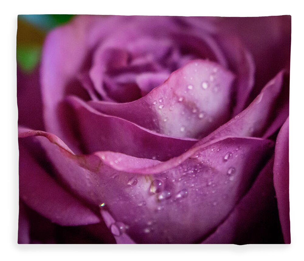 Beauty Fleece Blanket featuring the photograph Magenta Rose Macro #5 by K Bradley Washburn