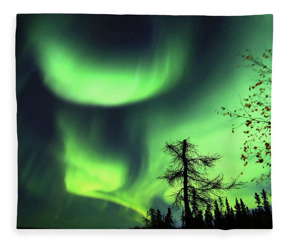 Northern Lights Fleece Blanket featuring the photograph Northern Lights #6 by Shixing Wen