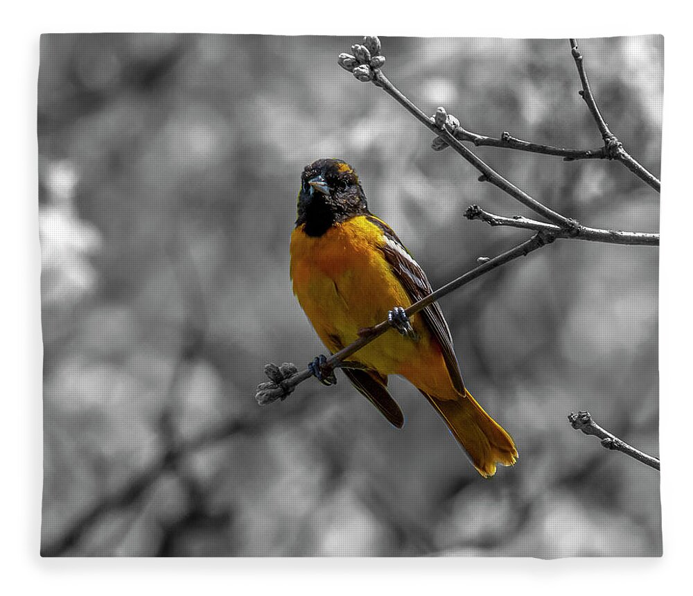 Bird Fleece Blanket featuring the photograph Stand Out #5 by Cathy Kovarik
