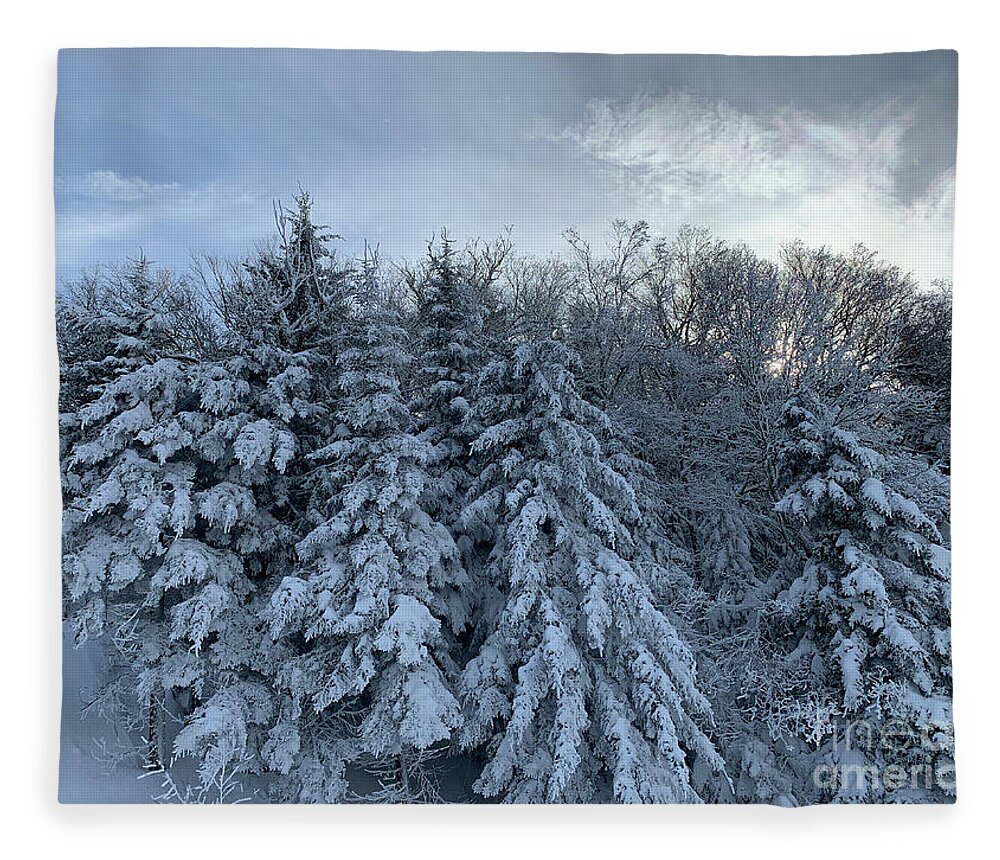 Fleece Blanket featuring the photograph Winter Wonderland #5 by Annamaria Frost