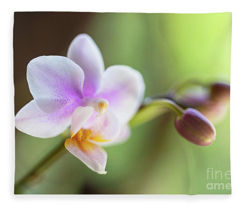 Background Fleece Blanket featuring the photograph Purple Orchid Flower #7 by Raul Rodriguez