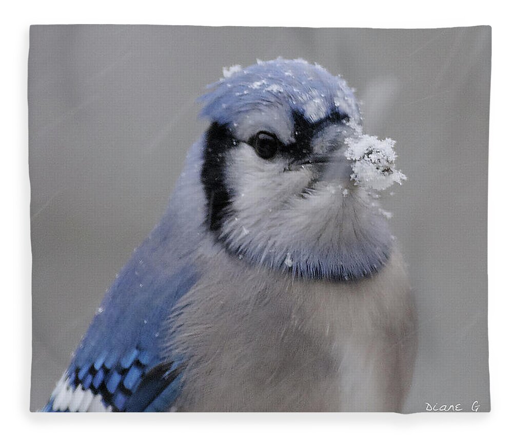 Winter Blue Jay Fleece Blanket featuring the photograph Winter Blue Jay #8 by Diane Giurco