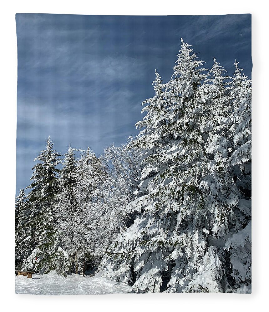  Fleece Blanket featuring the photograph Winter Wonderland by Annamaria Frost