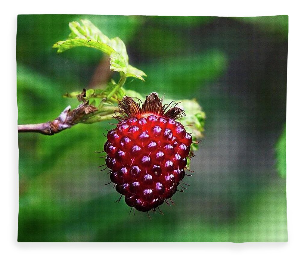 Alone Fleece Blanket featuring the photograph A Berry Red Berry by David Desautel