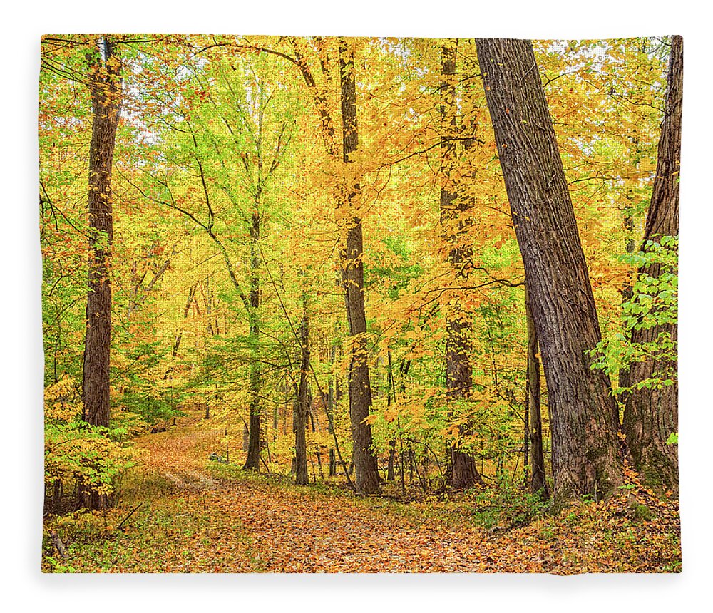 Fall Fleece Blanket featuring the photograph A Carpet of Leaves by Marianne Campolongo