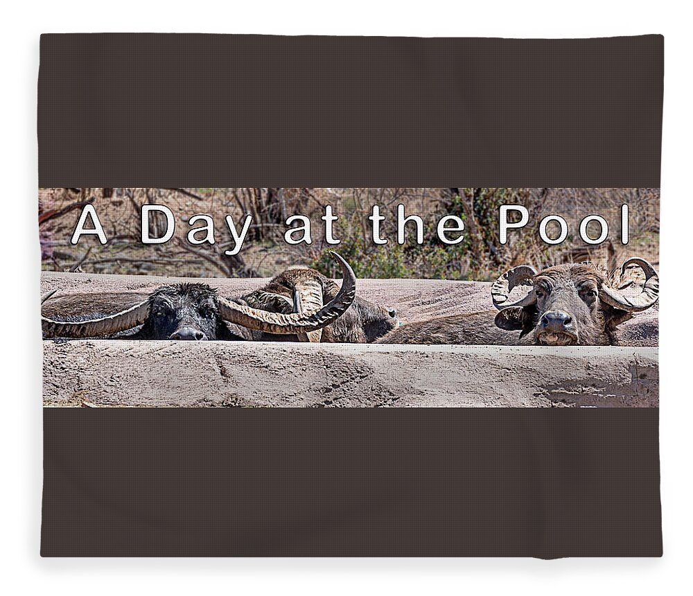  Fleece Blanket featuring the photograph A Day at the Pool by Al Judge