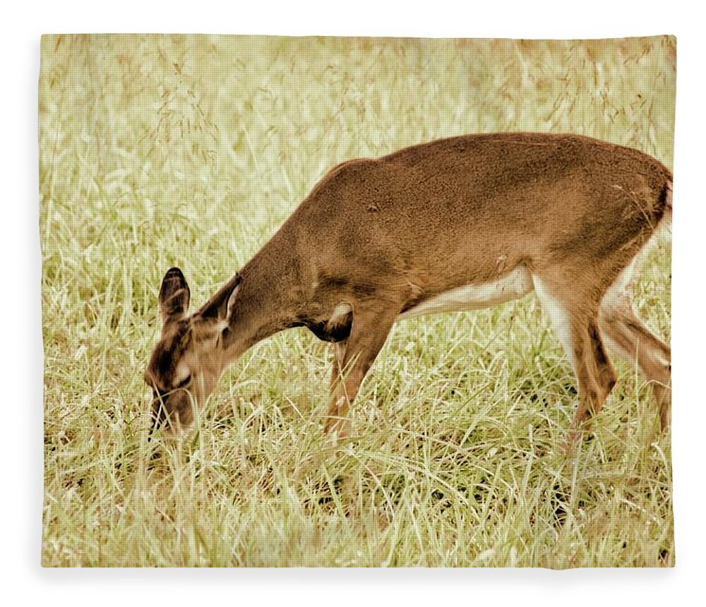White-tailed Deer Fleece Blanket featuring the photograph A Doe A Deer by M Three Photos