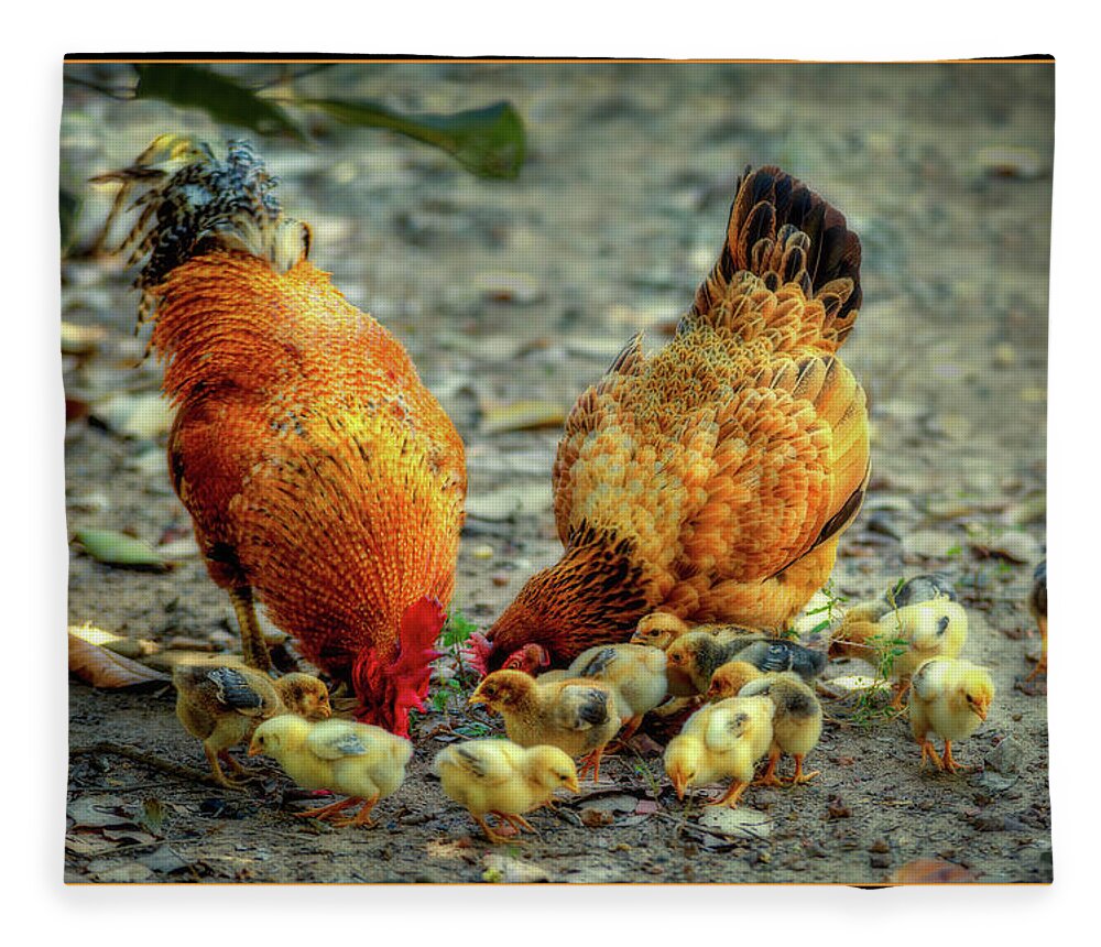 Family Fleece Blanket featuring the digital art A Family of Chickens by Cindy Collier Harris