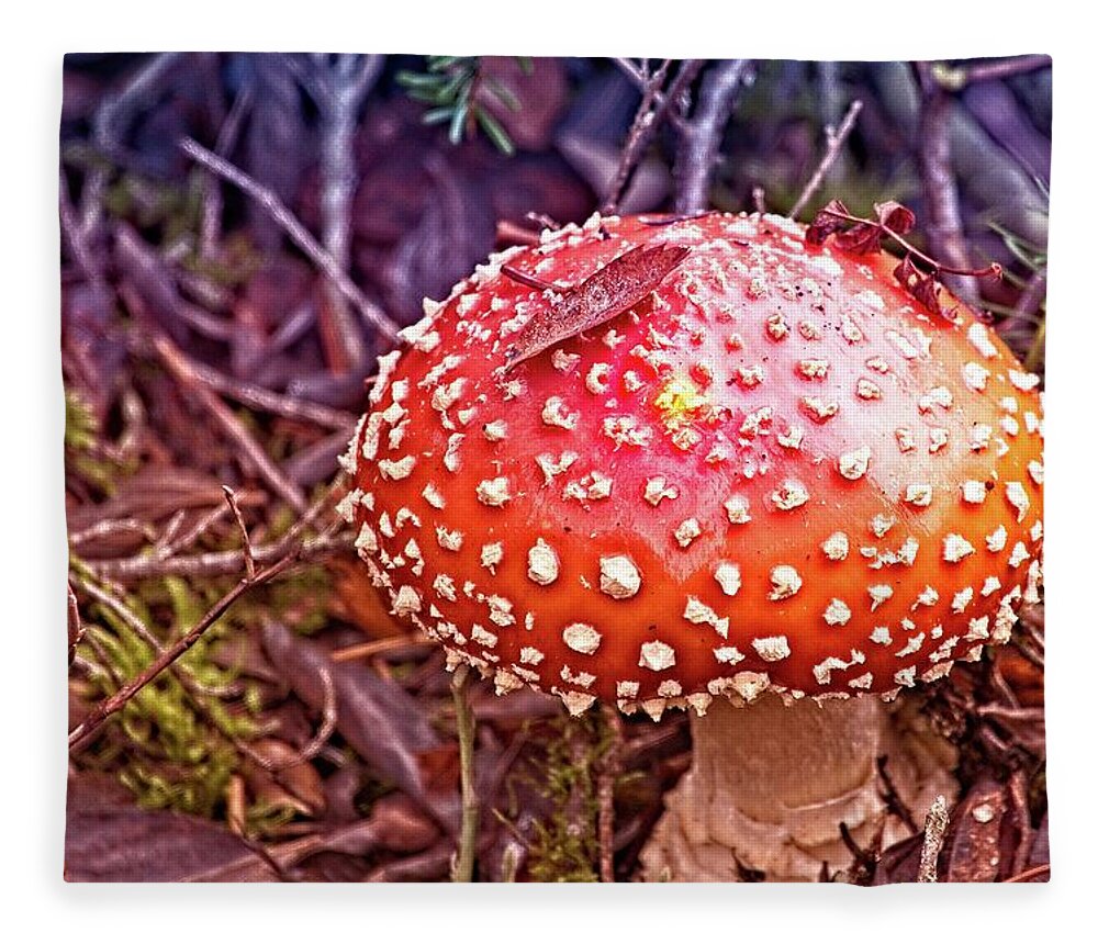 Amanita Muscaria Fleece Blanket featuring the photograph A Fungus Among Us by David Desautel