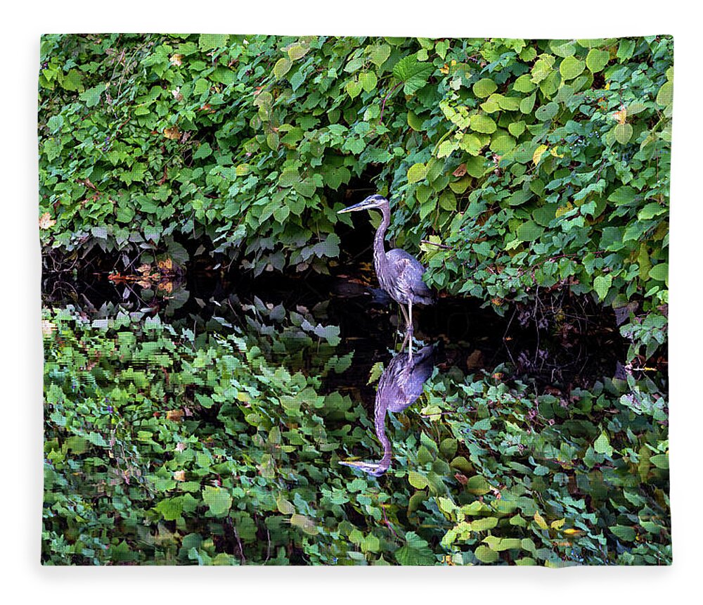 Bronx River Fleece Blanket featuring the photograph A Great Blue Heron and Its Refection by Kevin Suttlehan