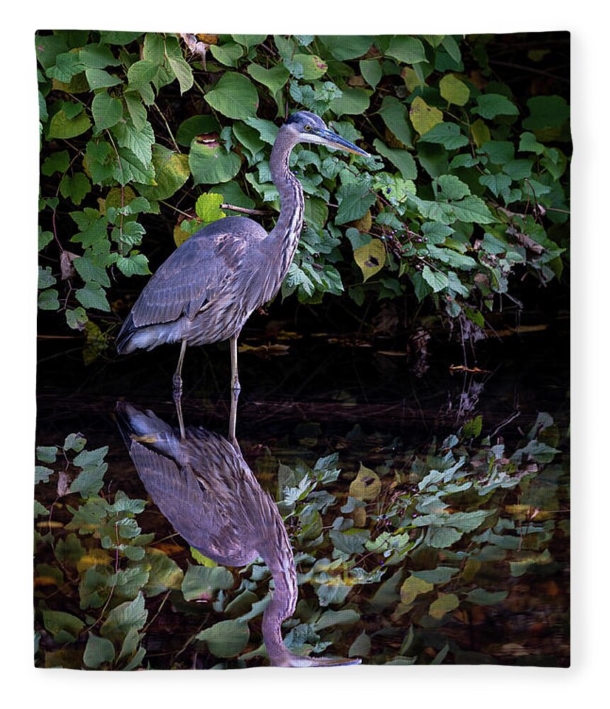 Bronx River Fleece Blanket featuring the photograph A Great Blue Heron and Its reflection in the Bronx River by Kevin Suttlehan