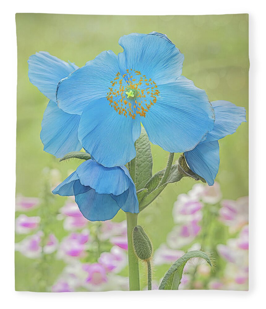 Blue Poppy Fleece Blanket featuring the photograph A Himalayan Blue Poppy in The Garden by Sylvia Goldkranz