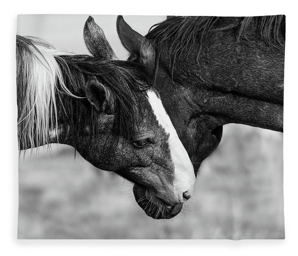 Wild Horses Fleece Blanket featuring the photograph A little Tenderness by Mary Hone