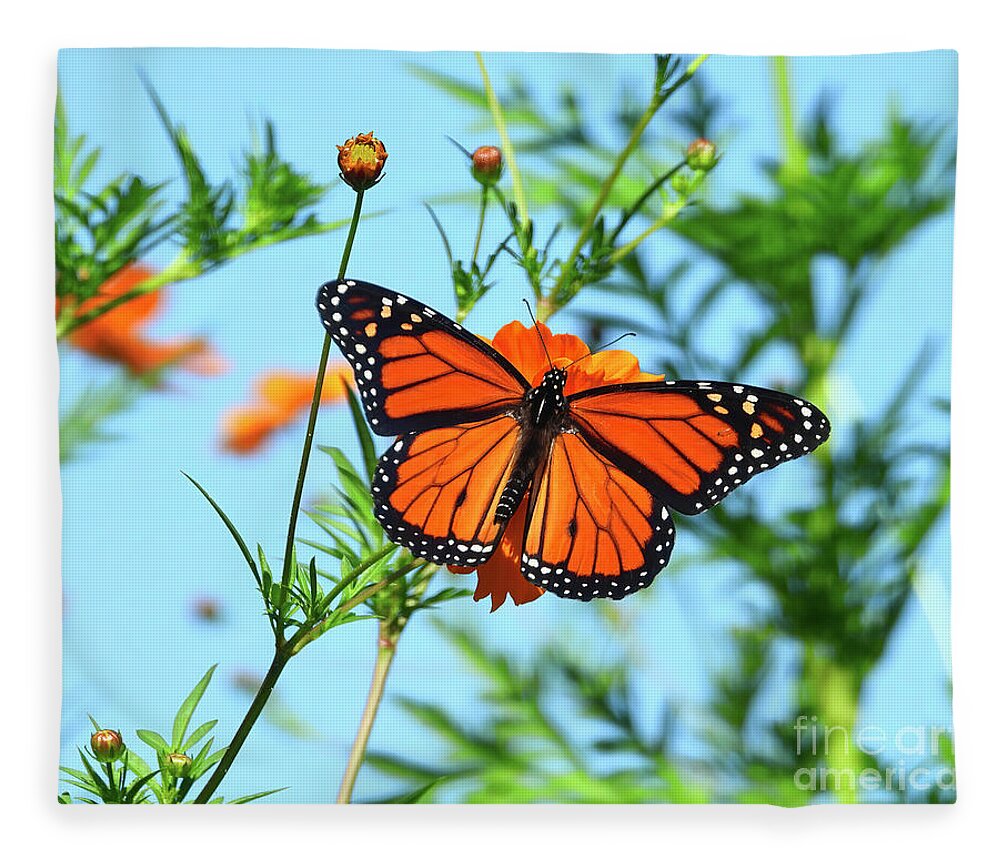 Monarch Fleece Blanket featuring the photograph A Monarch Butterfly by Scott Cameron