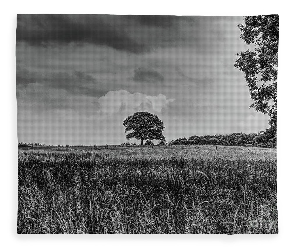 Manchester Fleece Blanket featuring the photograph A monochrome tree taken in Hopwood Woods Nature Reserve Manchester UK by Pics By Tony