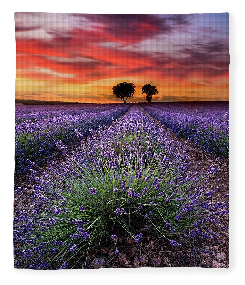 Landscape Fleece Blanket featuring the photograph A place to dream by Jorge Maia