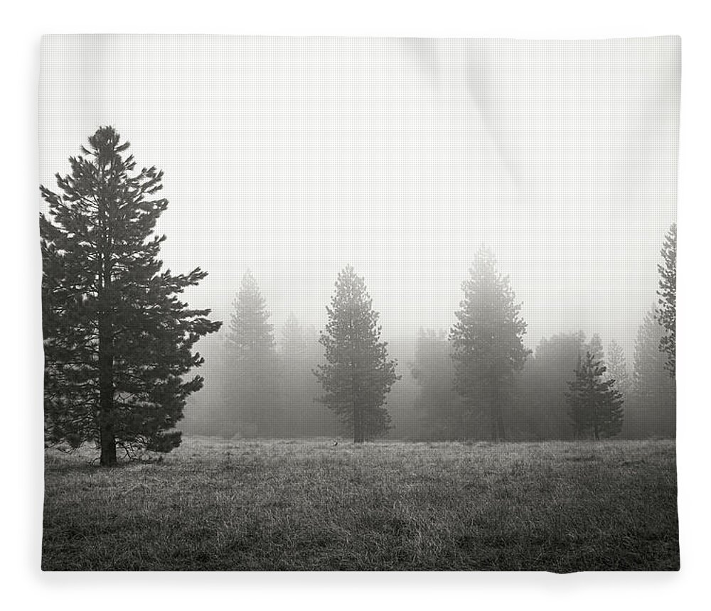 Trees Fleece Blanket featuring the photograph A Rich Aggregation by Ryan Weddle