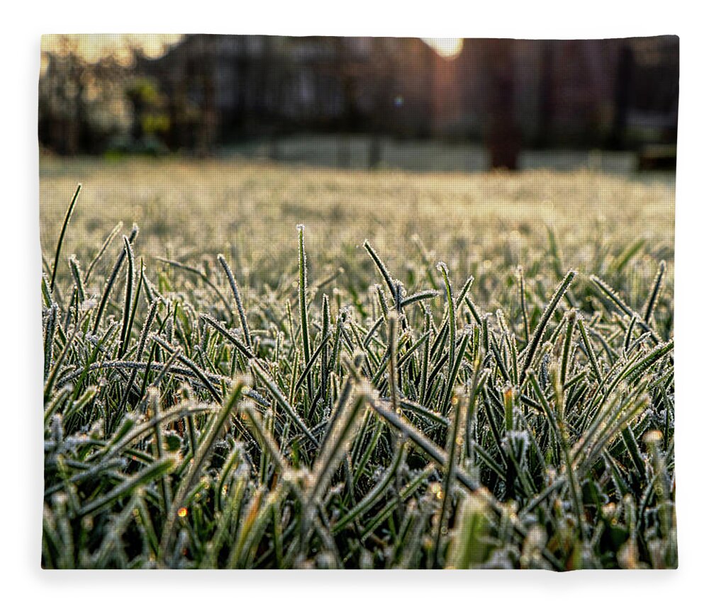 Environment Fleece Blanket featuring the photograph Stem of grass are covering snow. by Vaclav Sonnek