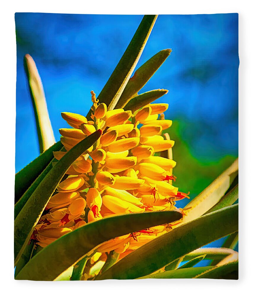 Cactus Fleece Blanket featuring the photograph A study in yellow, green and blue - cactus flower near Phoenix AZ by Frank Lee