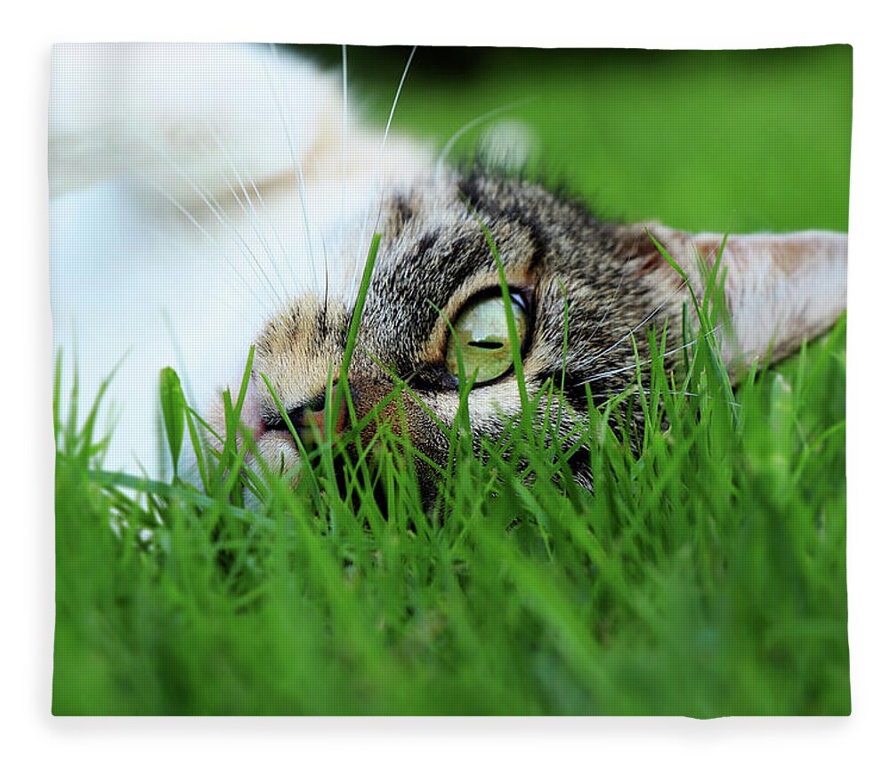 Domestic Cat Fleece Blanket featuring the photograph Tabby kitten lying in grass by Vaclav Sonnek
