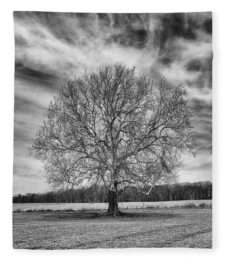  Tree Fleece Blanket featuring the photograph A Tree in Winter in Black and White by William Jobes