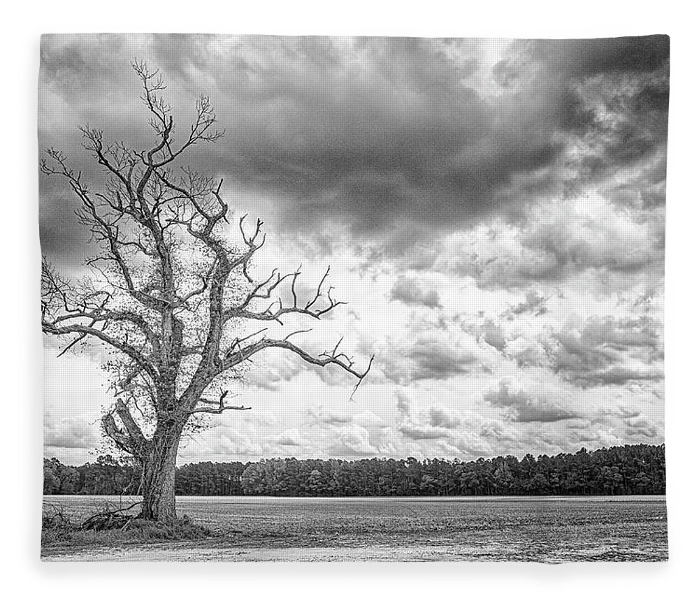 Tree Fleece Blanket featuring the photograph A Tree With Great Character - Eastern North Carolina by Bob Decker