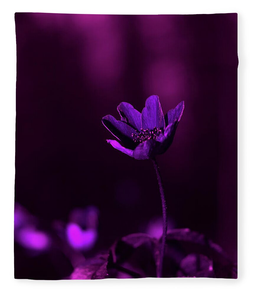 White Fleece Blanket featuring the photograph A white anemone under UV light by Maria Dimitrova