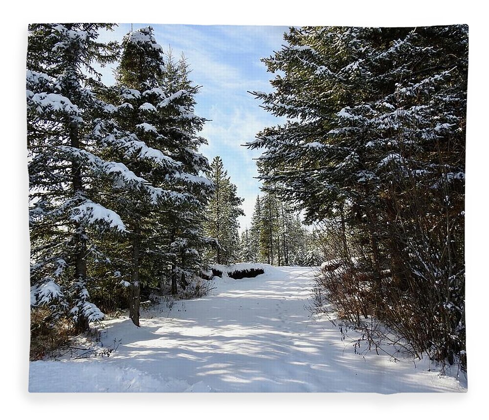 A Winter Trail Fleece Blanket featuring the photograph A Winter Trail by Nicola Finch