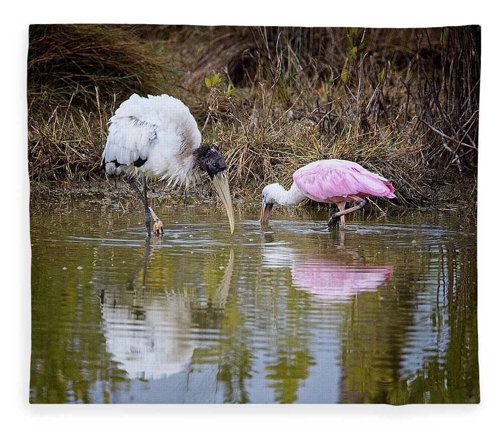 Feeding Fleece Blanket featuring the photograph A Wood Stork and Spoonbill feeding together. by Ronald Lutz