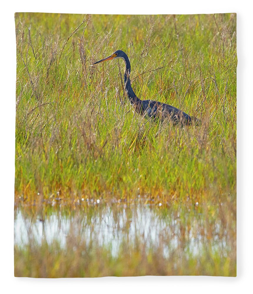 R5-2669 Fleece Blanket featuring the photograph A Youngster out in the Grasslands by Gordon Elwell