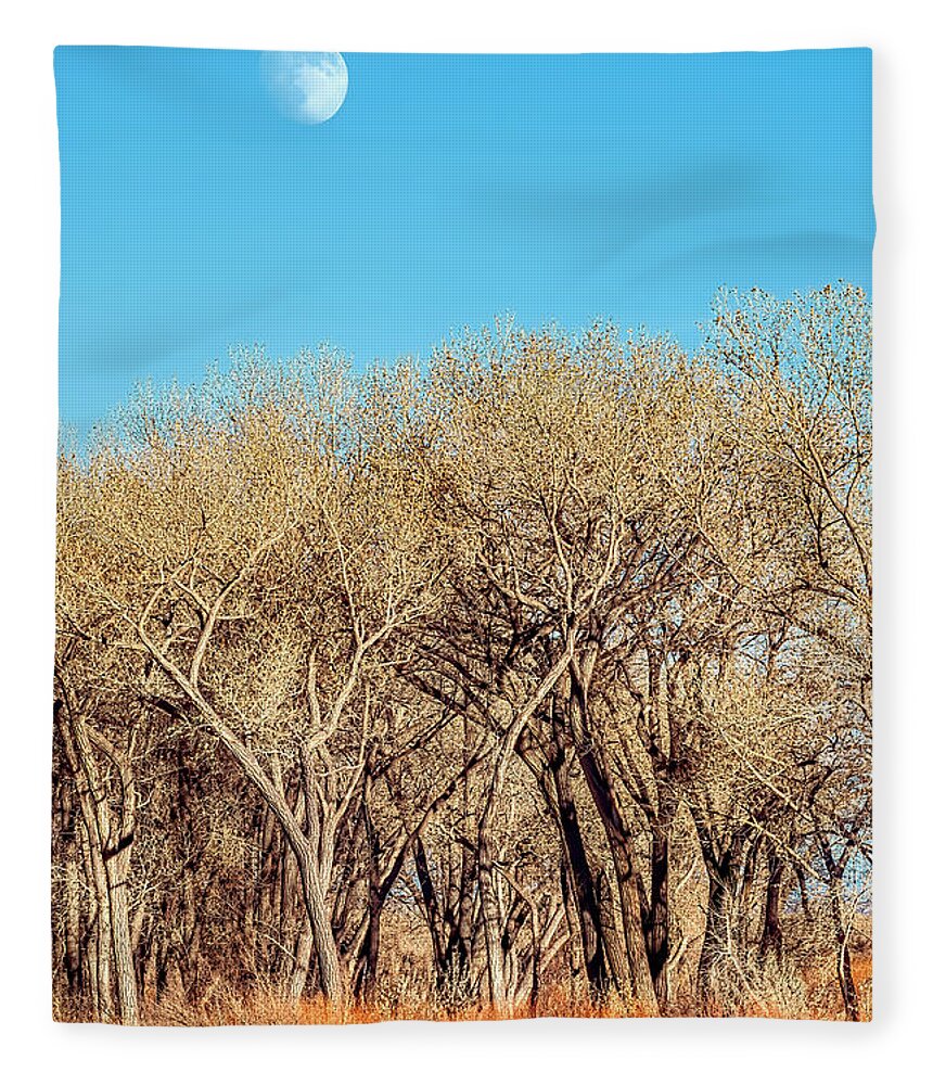 New Mexico Fleece Blanket featuring the photograph Abiquiu Forest by Dan McGeorge