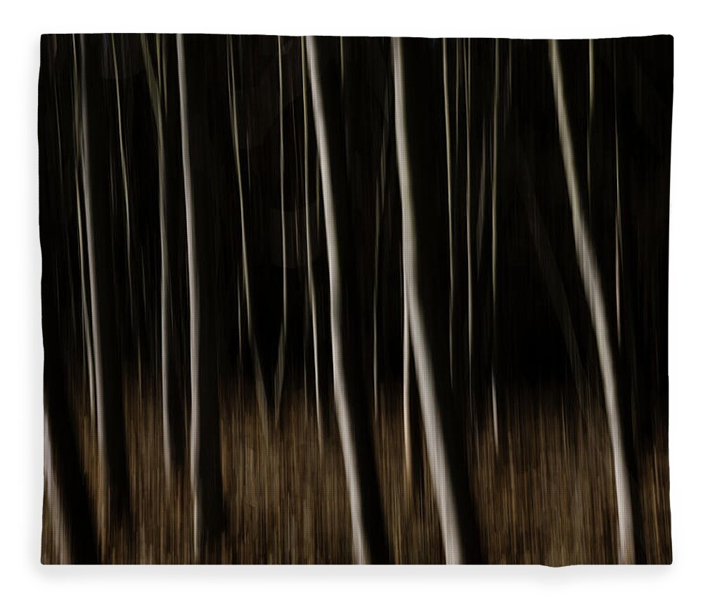 Abstract Fleece Blanket featuring the photograph Abstract Forest - Fine Art Photography Print by Martin Vorel Minimalist Photography