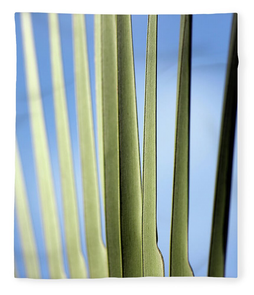 Leaf Fleece Blanket featuring the photograph Abstract Nature 32 by Tony Cordoza