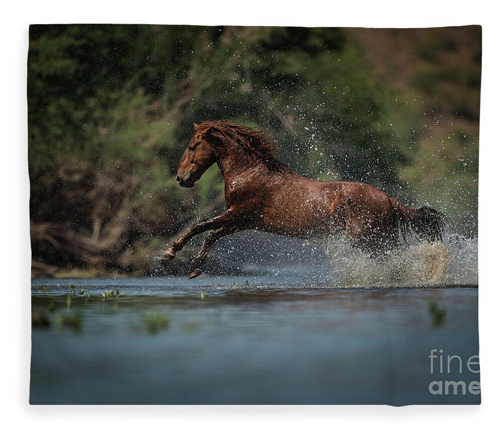 Stallion Fleece Blanket featuring the photograph Action by Shannon Hastings